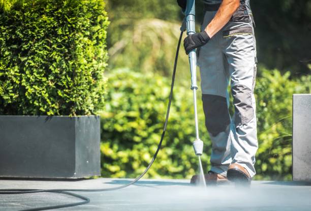 Best Solar Panel Cleaning  in North Tustin, CA