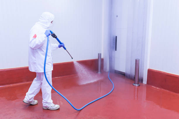 Pre-Holiday Cleaning in North Tustin, CA